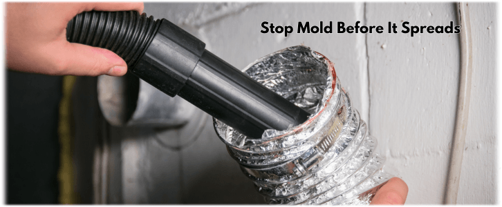 Air Duct Mold Removal in Woodlands TX